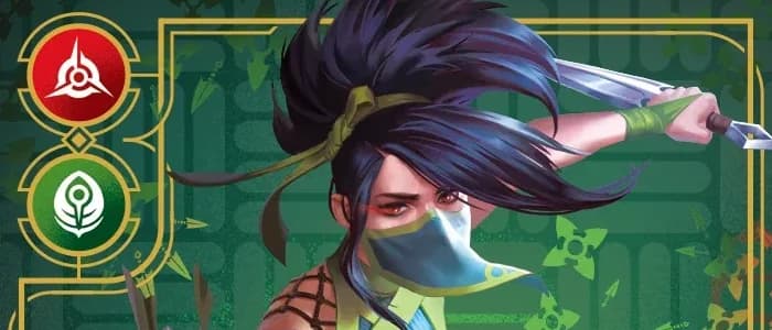 Bannière Akali, Rogue Assassin