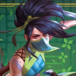Akali, Rogue Assassin